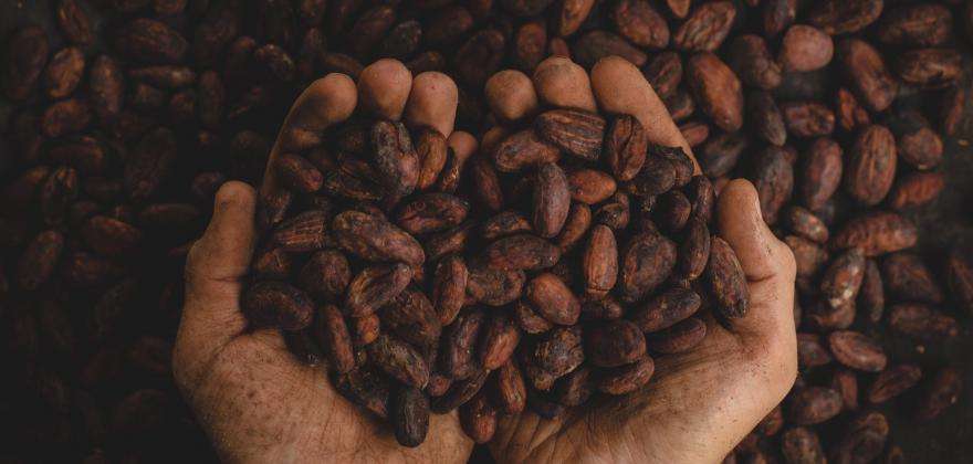 Le paradis des gourmands : le Salon du Chocolat revient à Paris