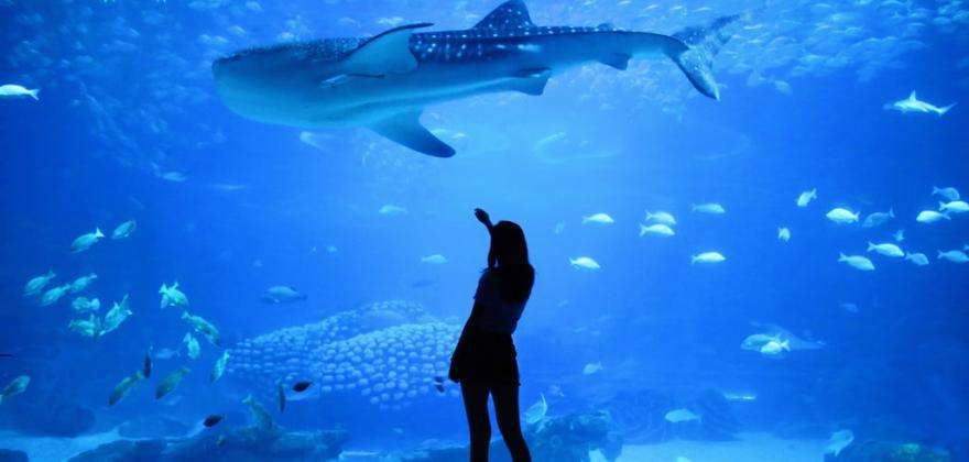 A fascinating visit to the Aquarium de Paris